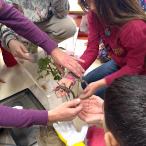 Insektenworkshop der 4cm 2025-11