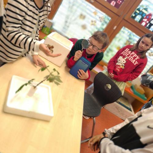 Insektenworkshop der 4cm 2025-11