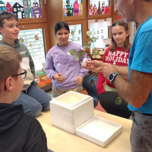 Insektenworkshop der 4cm 2025-11