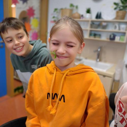 Insektenworkshop der 4cm 2025-11