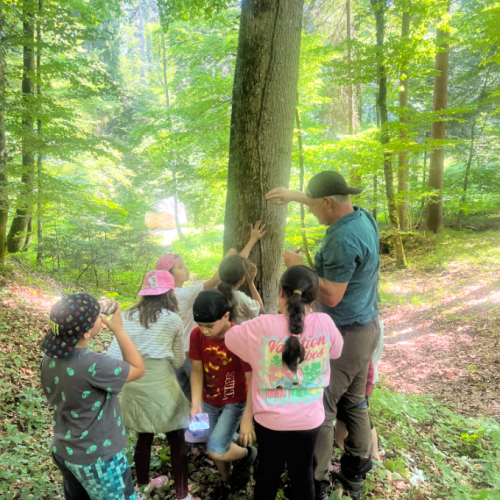 Der Wald 1c 2026